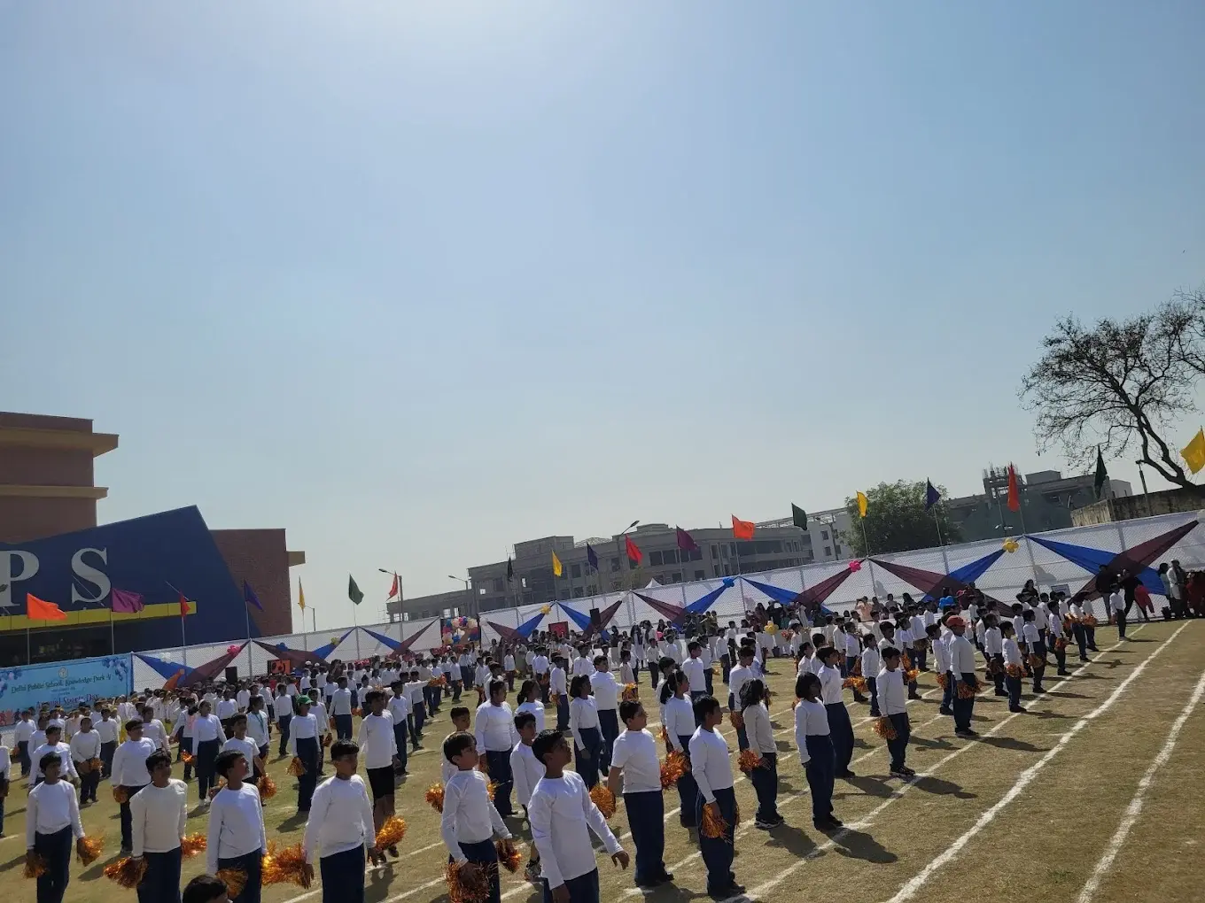 Delhi Public School Knowledge Park-V